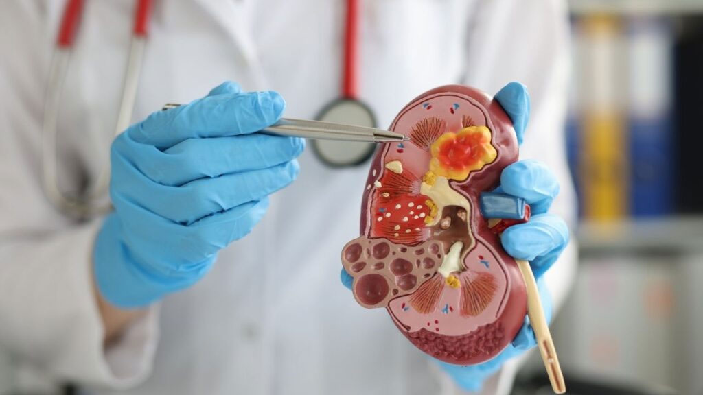 Urology Services