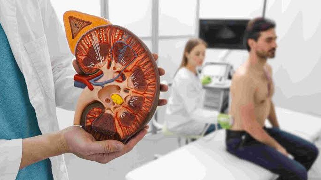 Urology Services