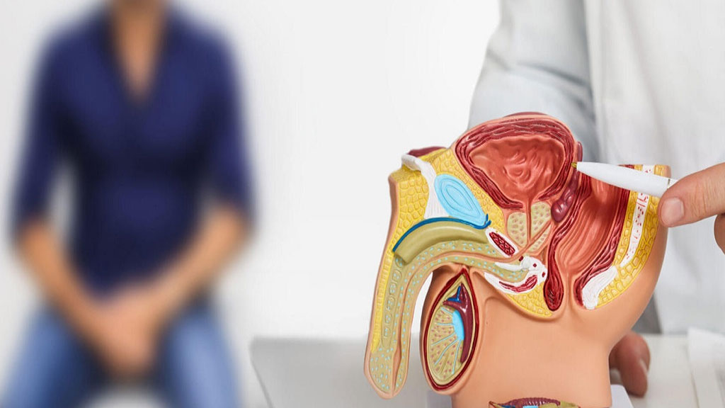 Urology Services