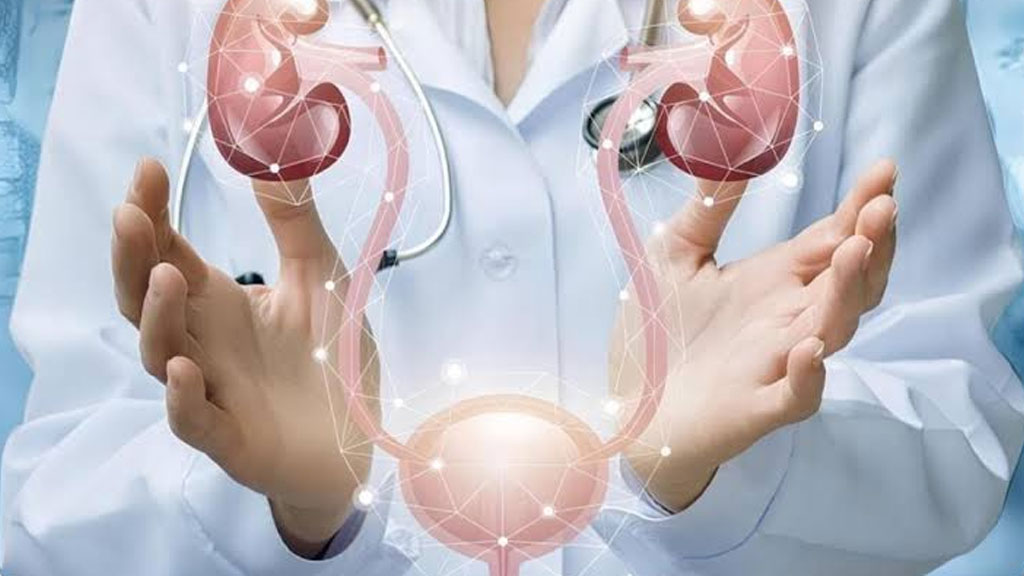 Urology Services